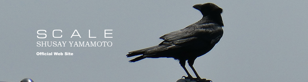 shusay yamamoto 201905