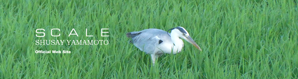 shusay yamamoto 202108