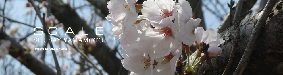 shusay yamamoto 202504